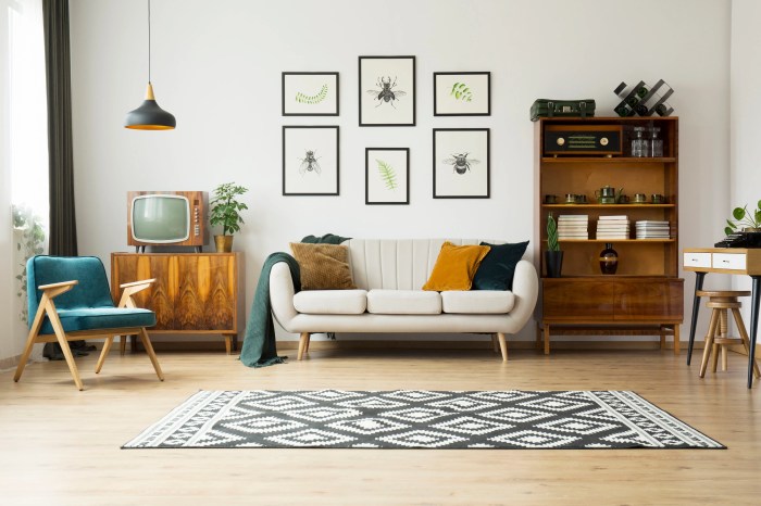 Living rooms decorating beginners